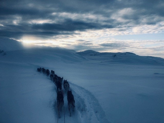 Utsikten fra "cockpit" hos Thomas Byfuglien Wærner på trening. Foto: Privat dog sledding thomas wærner
