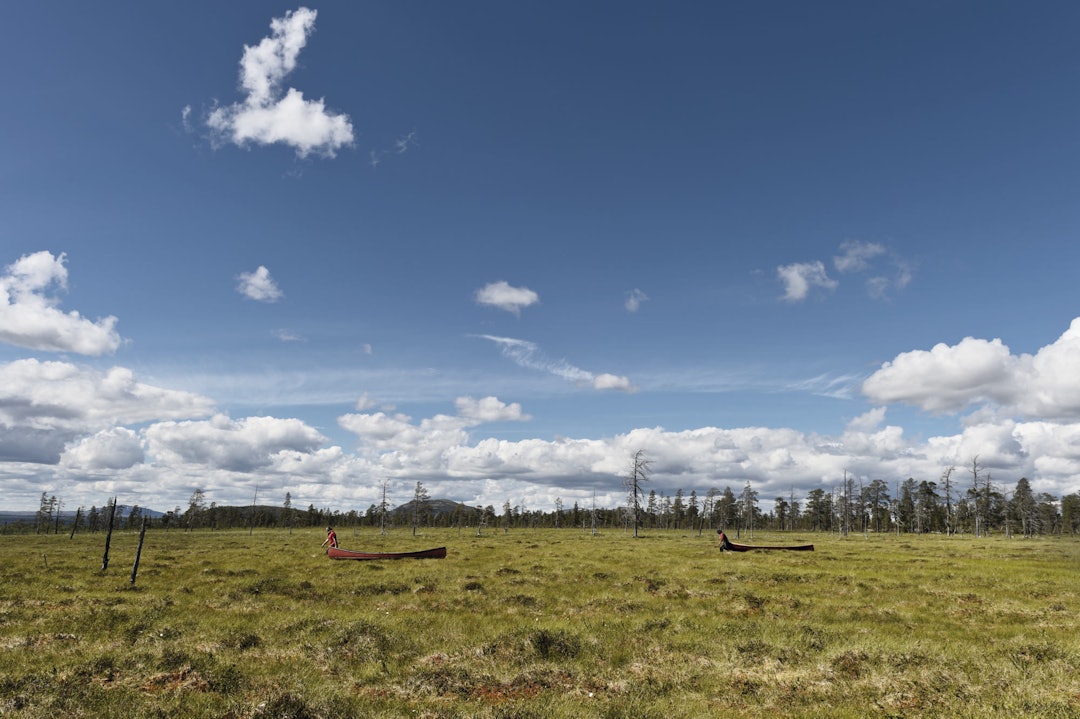 _DSC7325_lowres _DSC7325_lowres