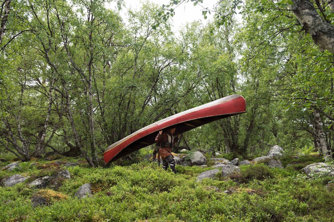 _DSC7828_lowres _DSC7828_lowres