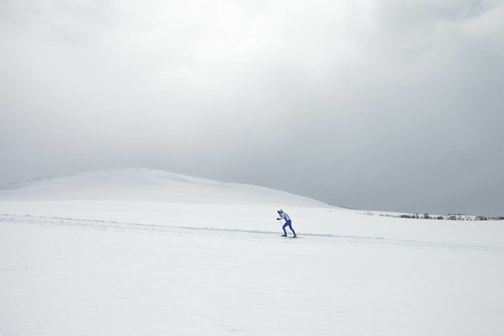 FRED OG FORDRAGELIGHET: Fra snaufjellet på Hovden. Foto: Tor Ulstein llangrenn på hovden