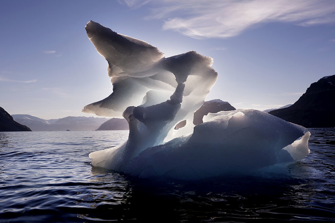 ISSKULPTUR: En svane? Eller noe helt annet? Det er opp til deg som ser. Foto: Paal Audestad isskulptur