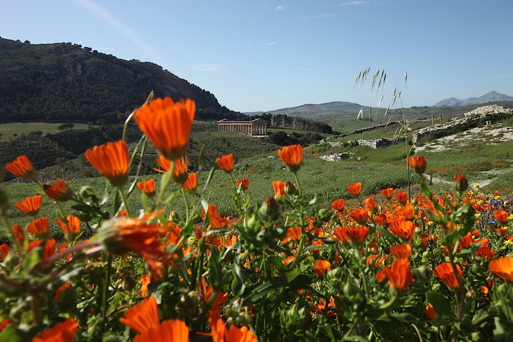 Vår: Nydelig mot et av templene ved Segesta. Foto: Dag Hagen sicila4