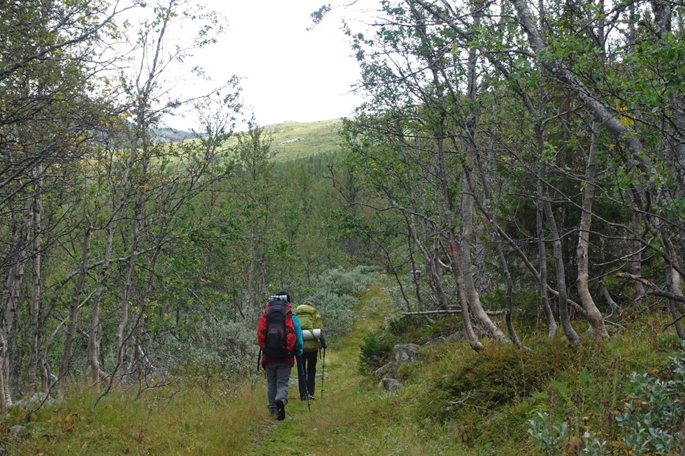 Deler av turen går gjennom frodig landskap. Foto: Erlend Larsen turghuide svineroi svineroe til selstali