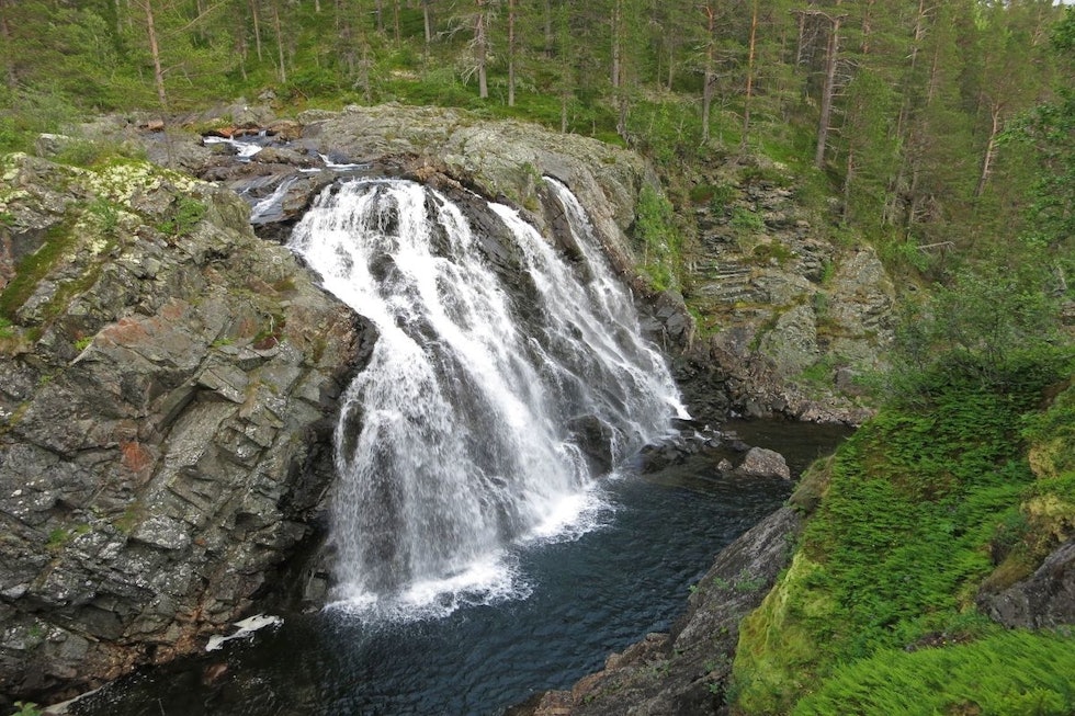 Et sted deler stien seg. Den ene delen går til kanten av et stup hvor du får se fossen. (Foto: Erlend Larsen). qYc8DofQ