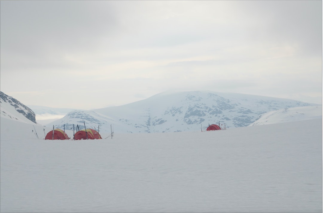 STÅLESKARET: Den første overnattingen gir oss både utsikt og turselskap. Foto: Sandra L. Wangberg STÅLESKARET: Den første overnattingen gir oss både utsikt og turselskap. Foto: Sandra L. Wangberg
