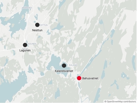 bahusvatnet bergen oddekalv bahusvatnet bergen oddekalv