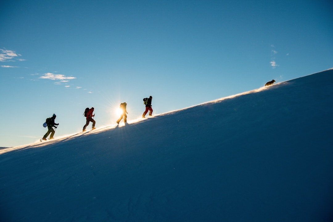 Myrkleik. Frå området rundt Vatnahalsen. Foto: Sverre Hjørnevik Myrkleik. Frå området rundt Vatnahalsen. Foto: Sverre Hjørnevik