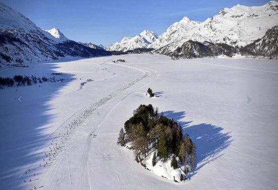 image003-1 image003-1