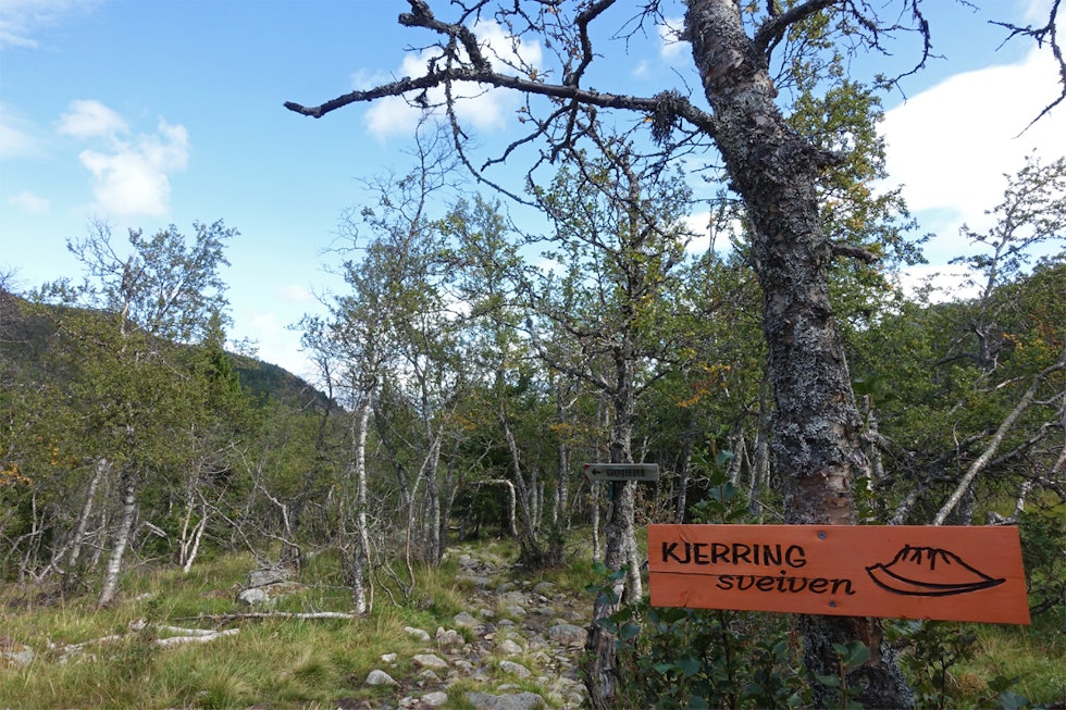 Stien er tydelig merket med Kjerringsveivens merker. I tillegg er den merket med røde T’er. Kjerringsveien turguide Rjukan Rauland kart