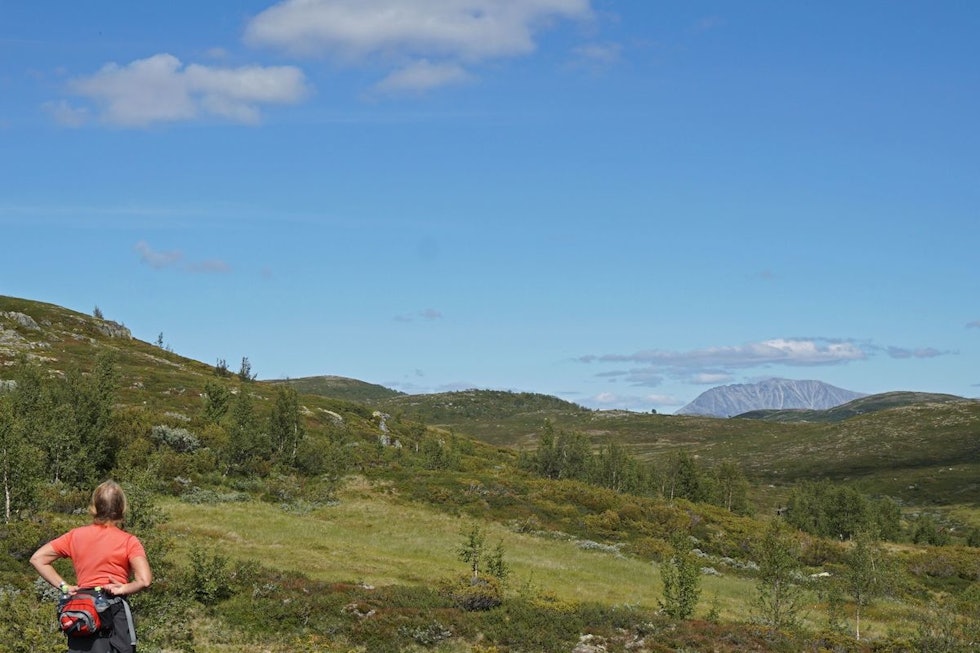 Ved Grasfjellsætri er det god utsikt til Gaustatoppen. Foto: Erlend Larsen gKubuzPA