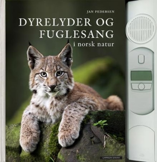 0175885_dyrelyder-og-fuglesang-i-norsk-natur_550 0175885_dyrelyder-og-fuglesang-i-norsk-natur_550