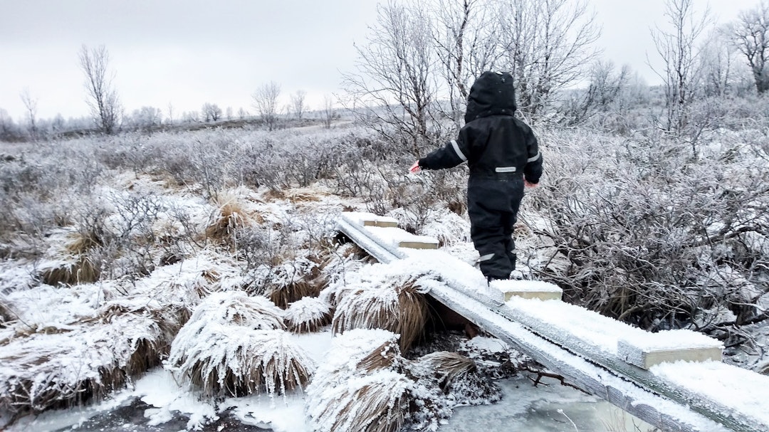 Mina og meg Mina og meg
