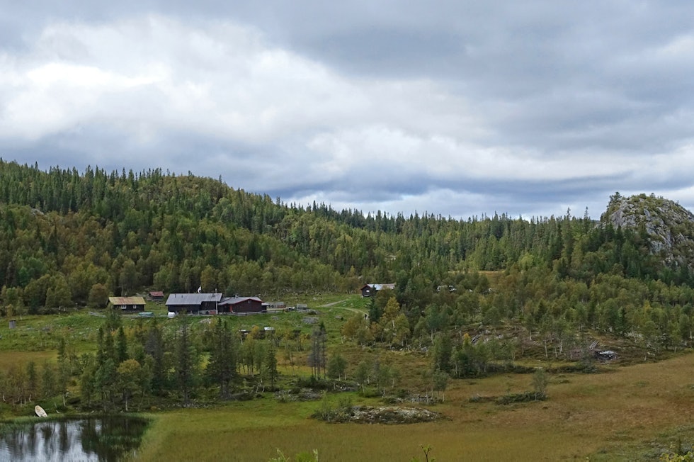 Setra på Selstali er utgangspunktet for denne turen. Selstali Rauland Telemark Skriustaulvatn