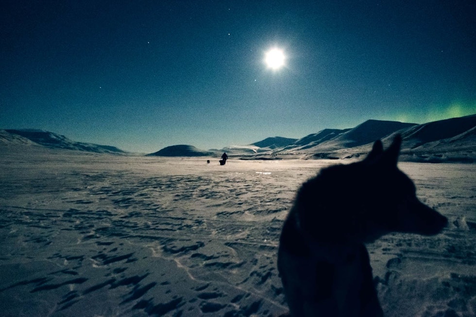 VINTERMAGI: På ski med hunder og pulk inn i Nordenskiöld Land under fullmåne og nordlys, med 25 minusgrader og frisk motvind. 2-D.Wojtanowicz_Inn-i-polarnatten