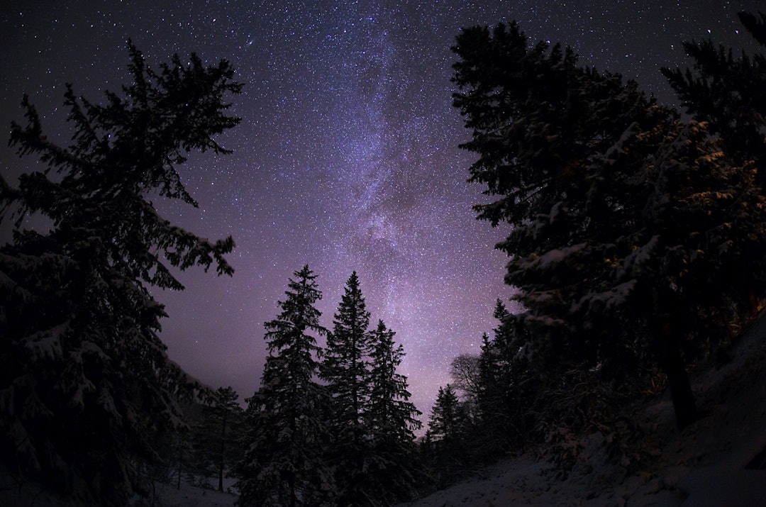 Skjermbilde 2017-12-15 kl. 11.28.41 Skjermbilde 2017-12-15 kl. 11.28.41