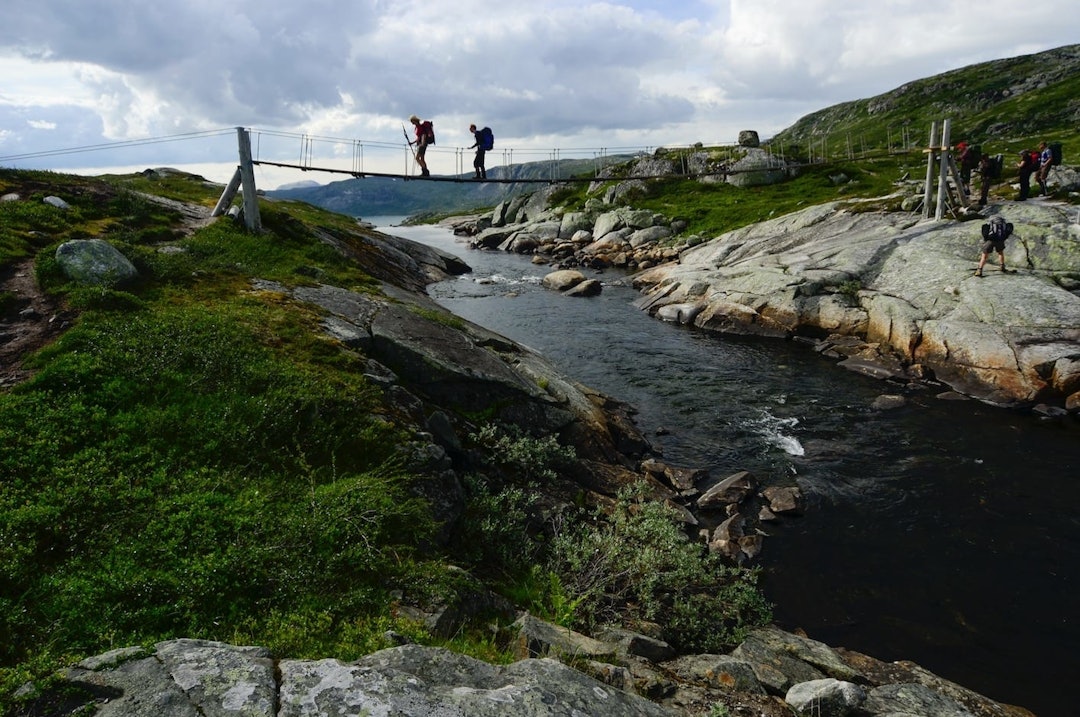 guiden til hardangervidda