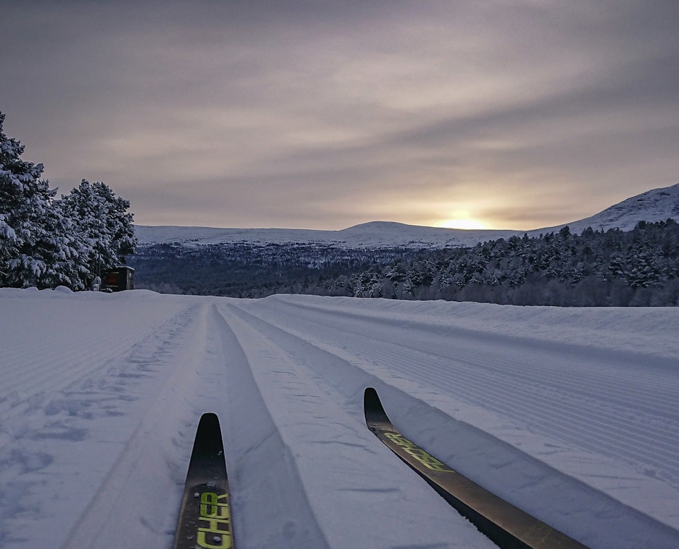 SYGARDSLØYPA: Spor av desember. Foto: Matti Bernitz Pedersen langrenn på bjorli_ sygardsløypa