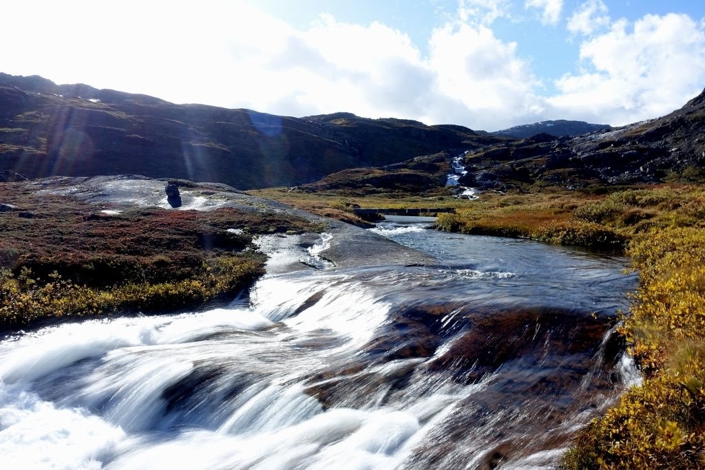 sommerbroer i fjellet skarvheimen