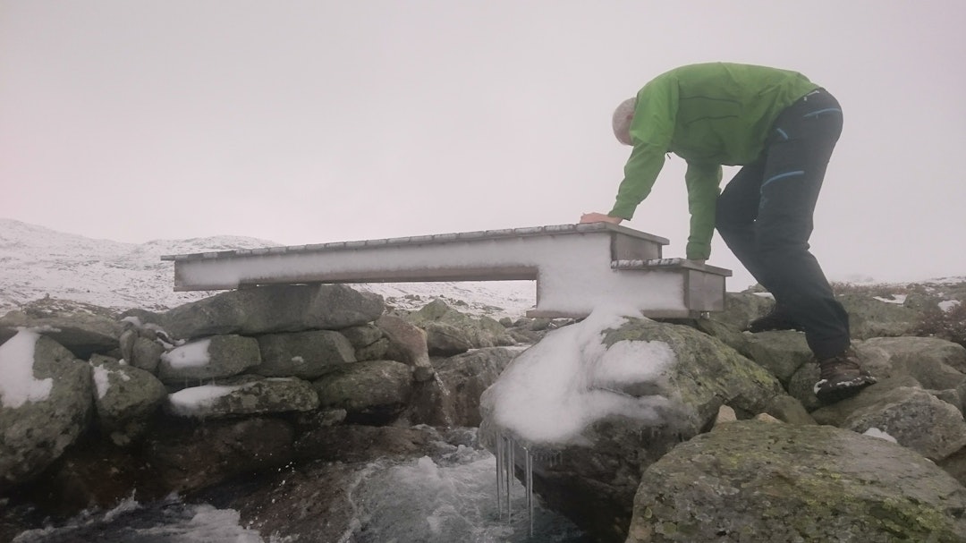 Sommerbroer i fjellet aurlandsdalen