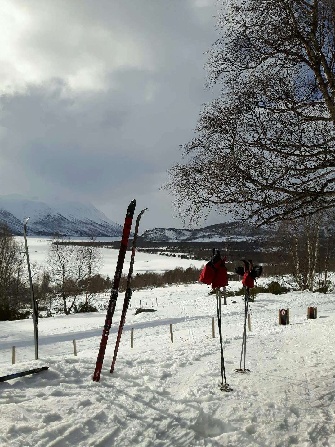 20160322_151240 20160322_151240