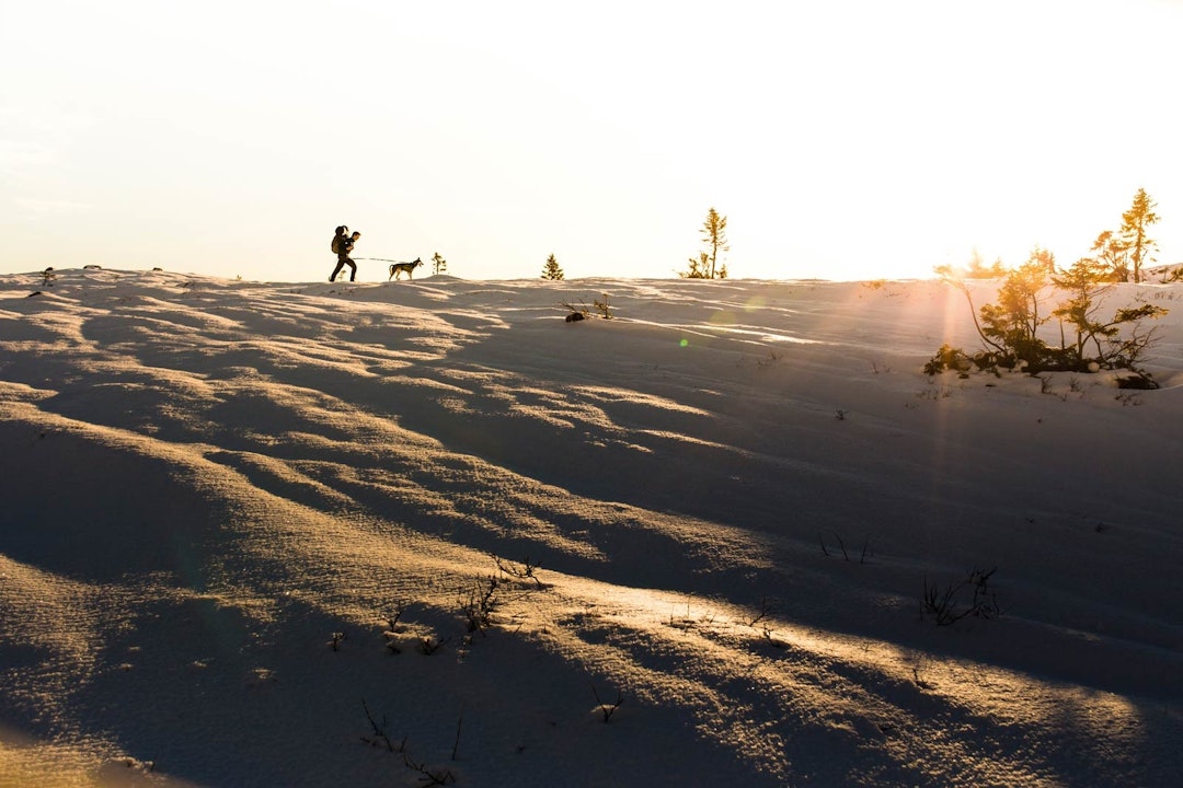 FORSVINNER SNART:  Sola på vei ned mens vi leter etter en fin leirplass for kvelden. lifjell