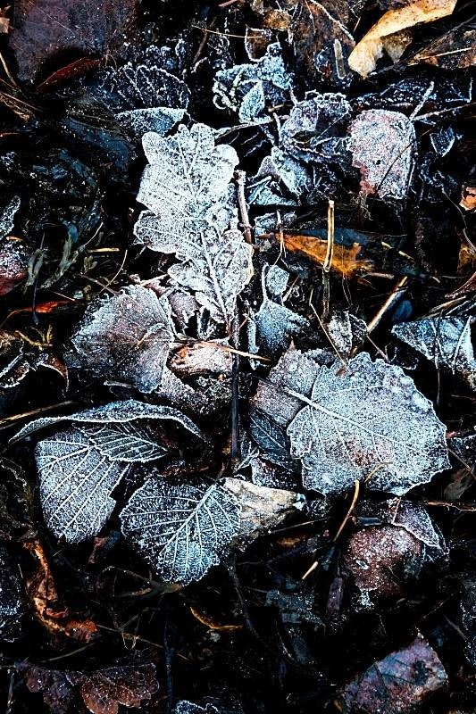 MOTIVATOR: Når det er vanskelig å komme opp av senga, da er aktiviteter som kaldbading en fantastisk måte å skru på strømmen i livet ditt, sier kaldbader Morten Nygård. Foto: Axel Munthe-Kaas Hærland kaldbading isbading