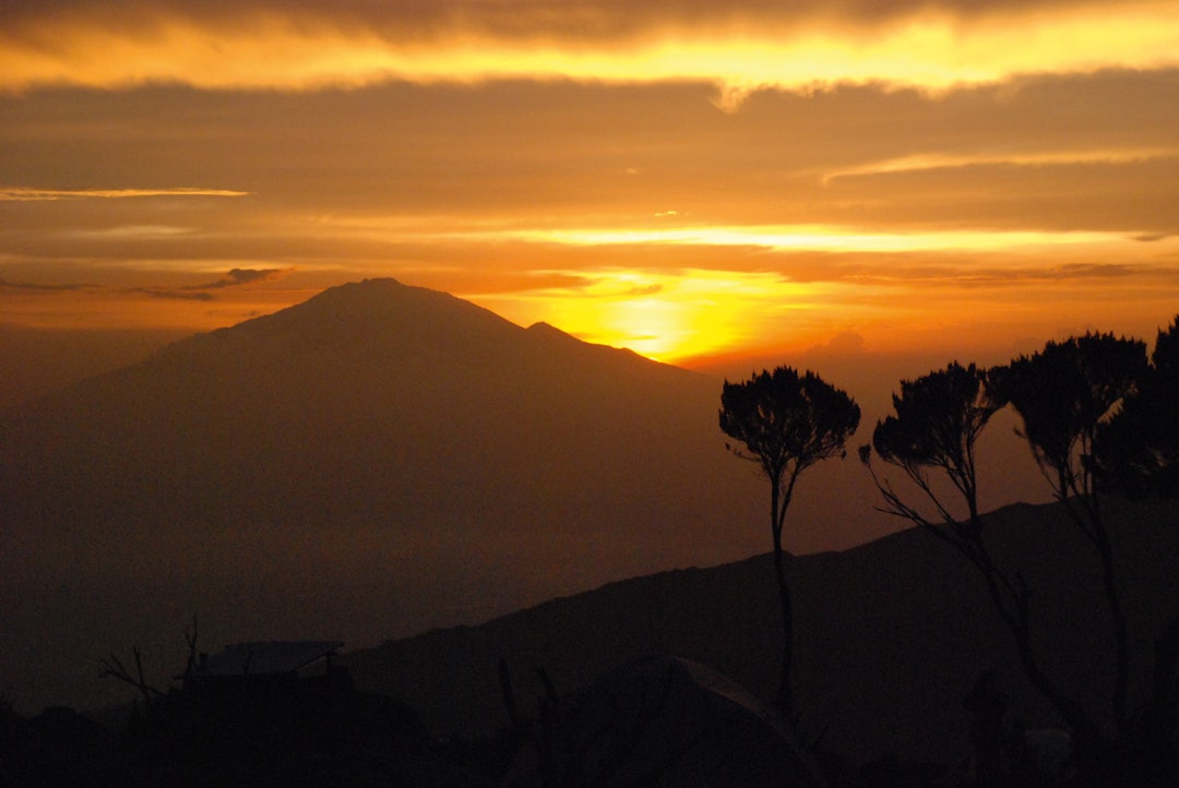 KILIMANJARO: På swahili kalles fjellet «Det glitrende fjell». Fjellet, som ligger i det nordøstlige Tanzania nær grensen til Kenya, er en vulkan. Foto: Matti Bernitz Pedersen