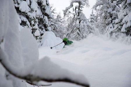 Voss freeride frikjøring ski snowboard alpint skisenter resort pudder snø topptur randonee