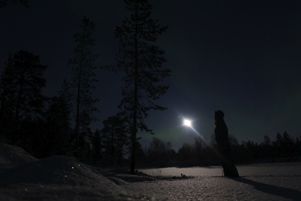 Månen bærer lyset gjennom møretida i nord. Stundom lyses hele skogen opp av fullmånen.