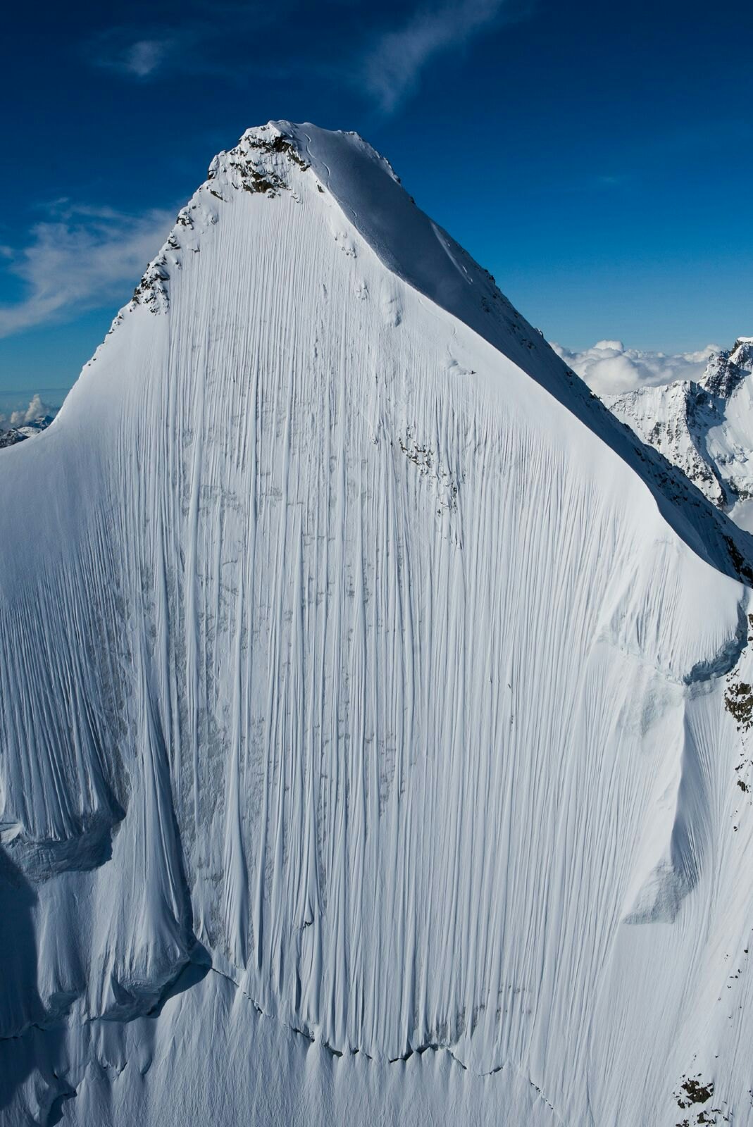 La Liste 01 credit Guido Perrini_preview La Liste 01 credit Guido Perrini_preview