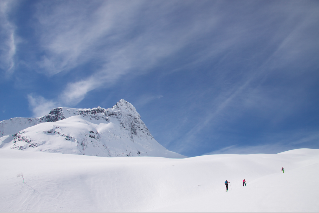 Skjermbilde 2015-11-26 kl. 12.04.13 Skjermbilde 2015-11-26 kl. 12.04.13