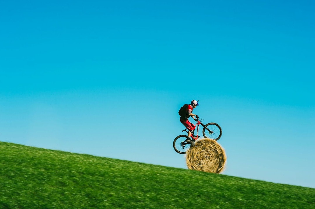 DM Wee Day Out 02 credit Fred Murray_preview DM Wee Day Out 02 credit Fred Murray_preview