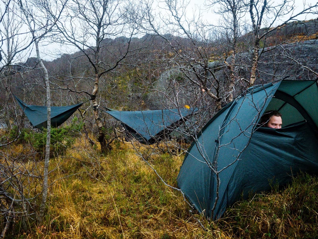 LIV I LEIREN: Fra den siste leiren vår. Fjellbjørk er usedvanlig sterke - størrelsen tatt i betraktning. I retrospekt hadde telt kanskje vært det lureste valget. telttur i florø