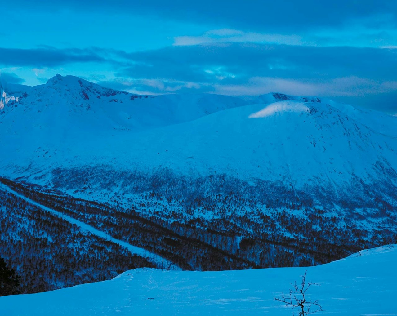 Storhesten 1023 moh fra Toppturer i Romsdalen Storhesten 1023 moh fra Toppturer i Romsdalen