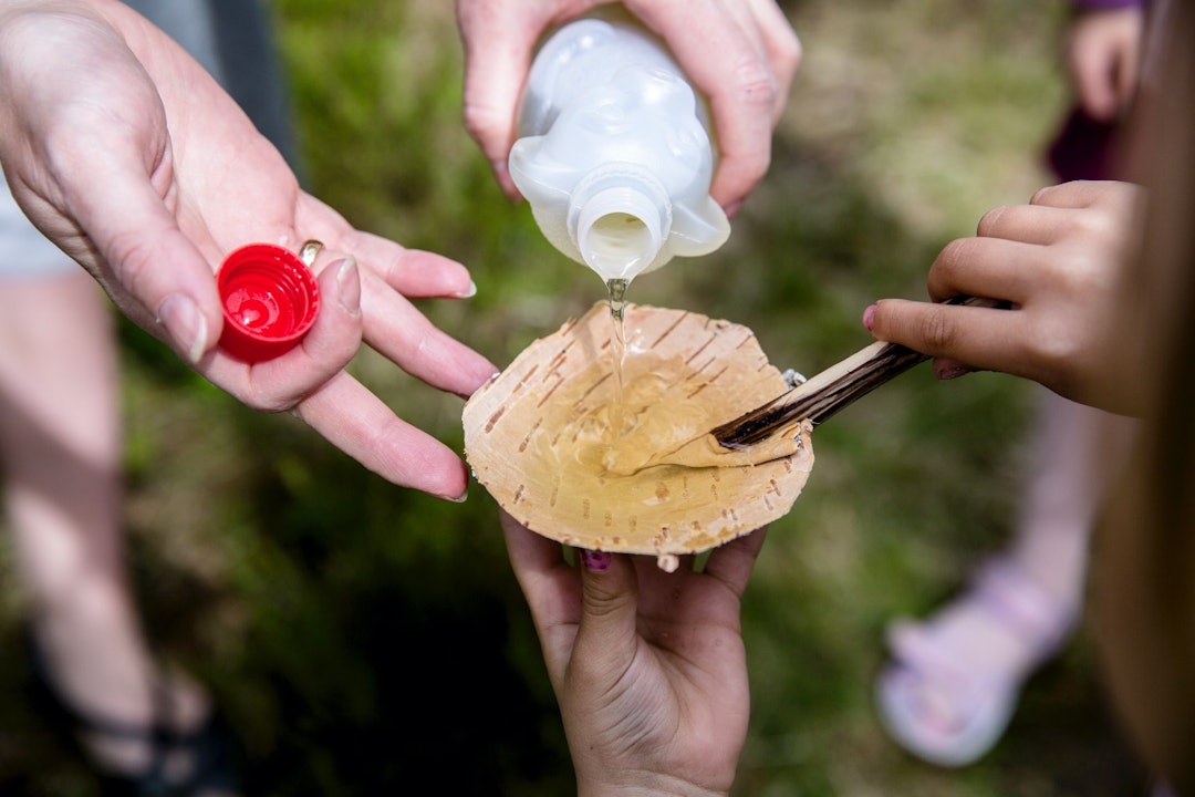 NEVER SI NEVER: Løvetannsaften er medbrakt. Koppen laget vi nettopp. NEVER SI NEVER: Løvetannsaften er medbrakt. Koppen laget vi nettopp.