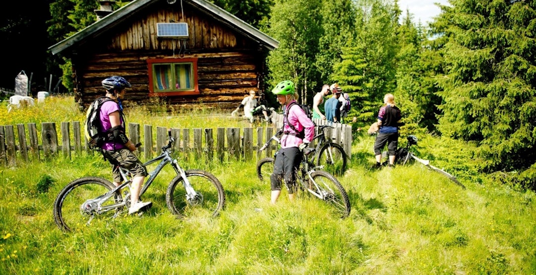 Skjermbilde 2017-09-01 kl. 09.07.51 Skjermbilde 2017-09-01 kl. 09.07.51