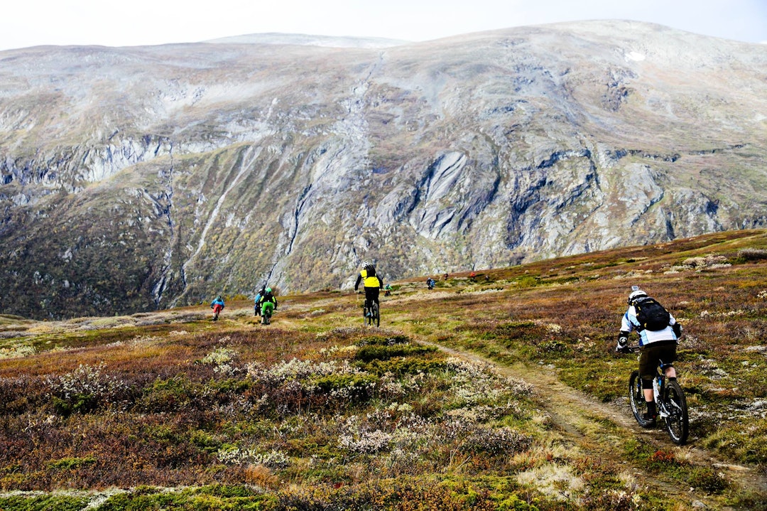 oppdal oppdal