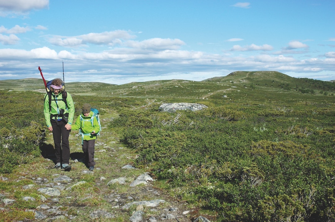 GAUSDAL VESTFJELL: Far og datter hånd i hånd i barnevennlig og vakkert fjellandskap. GAUSDAL VESTFJELL: Far og datter hånd i hånd i barnevennlig og vakkert fjellandskap.
