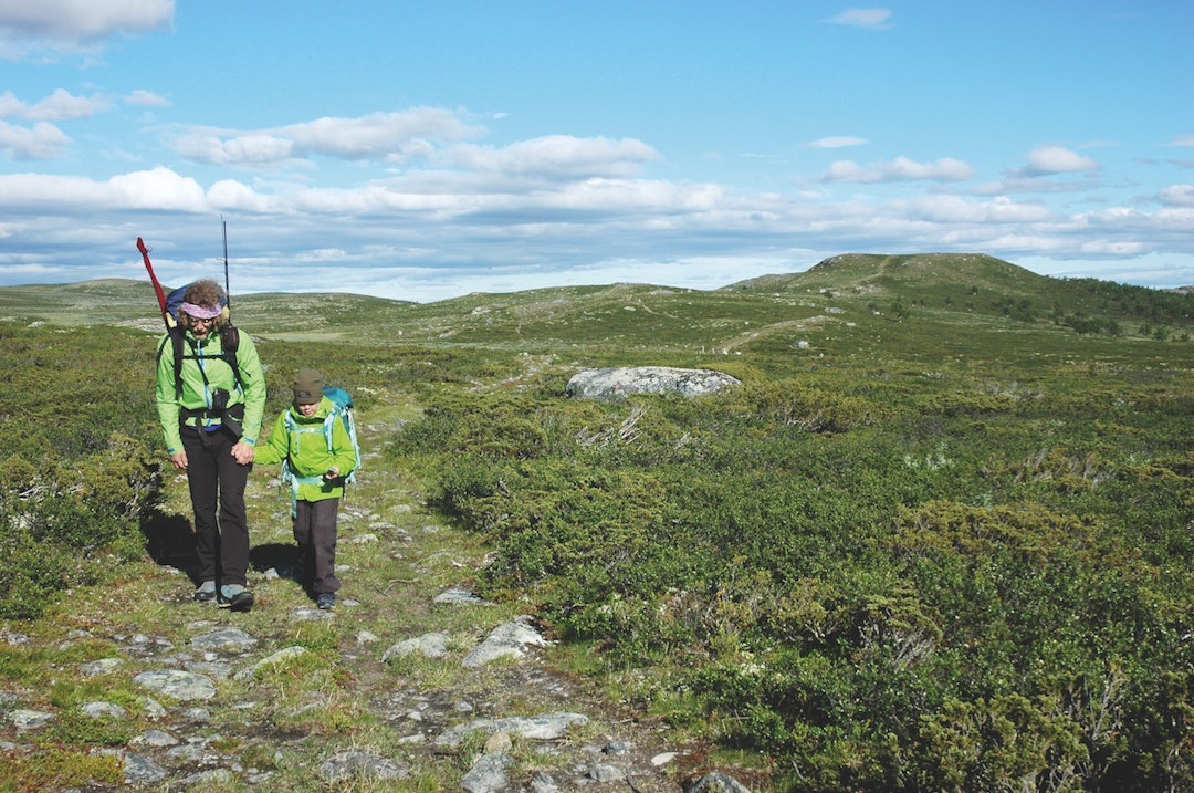 GAUSDAL VESTFJELL: Far og datter hånd i hånd i barnevennlig og vakkert fjellandskap.