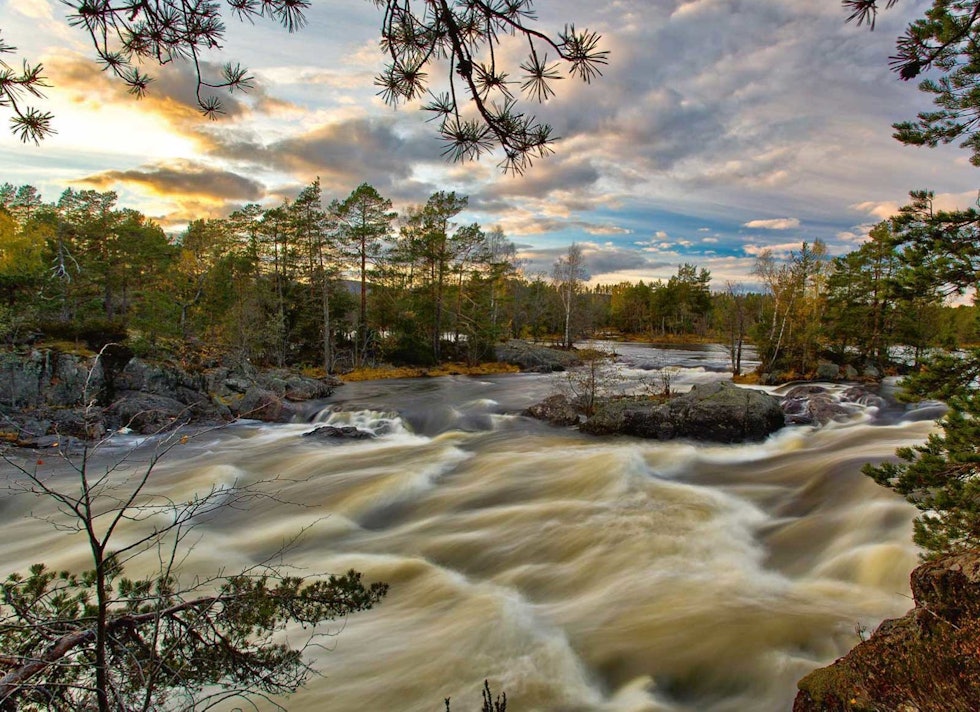 Ca. 10 km etter at du har syklet ut fra Nelaug stasjon kommer du til Bøylefoss i Nidelva. Foto: Tore Hegglund På-sykkel-fra-Nelaug-til-Arendal-Tore-Heggelund-3