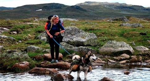 Skjermbilde 2015-06-02 kl. 09.41.14 Skjermbilde 2015-06-02 kl. 09.41.14