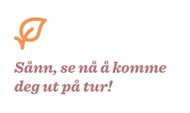 hyttemegtu_slutt hyttemegtu_slutt