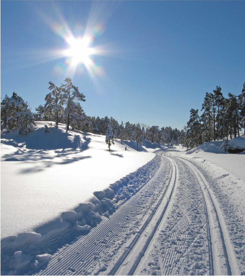 Både i den såkalte Hovedturløypa i Straiskogen og i Vennesla (bildet) kan kristiansanderne gå i fine skiløyper. Foto: Lars Verket Vinter-i-Kristiansandsområdet-Lars-Verket-3