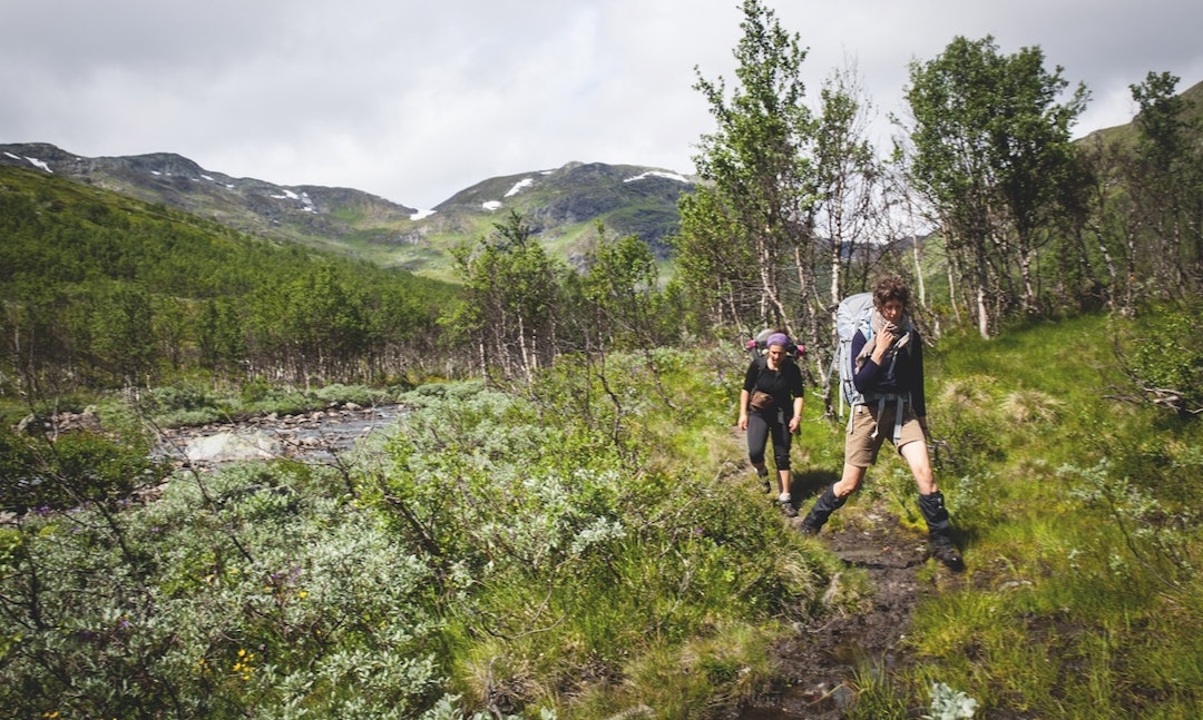 VARIERT: Jotunheimen byr på alt fra bratte fjell til fine stier i vakre daler. Foto: Marte Stensland Jørgensen VARIERT: Jotunheimen byr på alt fra bratte fjell til fine stier i vakre daler. Foto: Marte Stensland Jørgensen