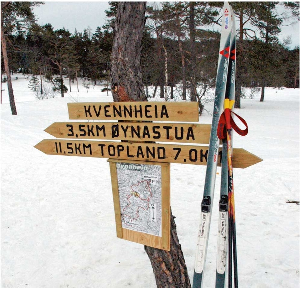 De flotte rundløypene rundt Øynaheia og Toplandsheia er godt skiltet og merket. Foto: Torolf Kroglund Ski-på-Toplandsheia-og-Øynaheia-Torolf-Kroglund-4