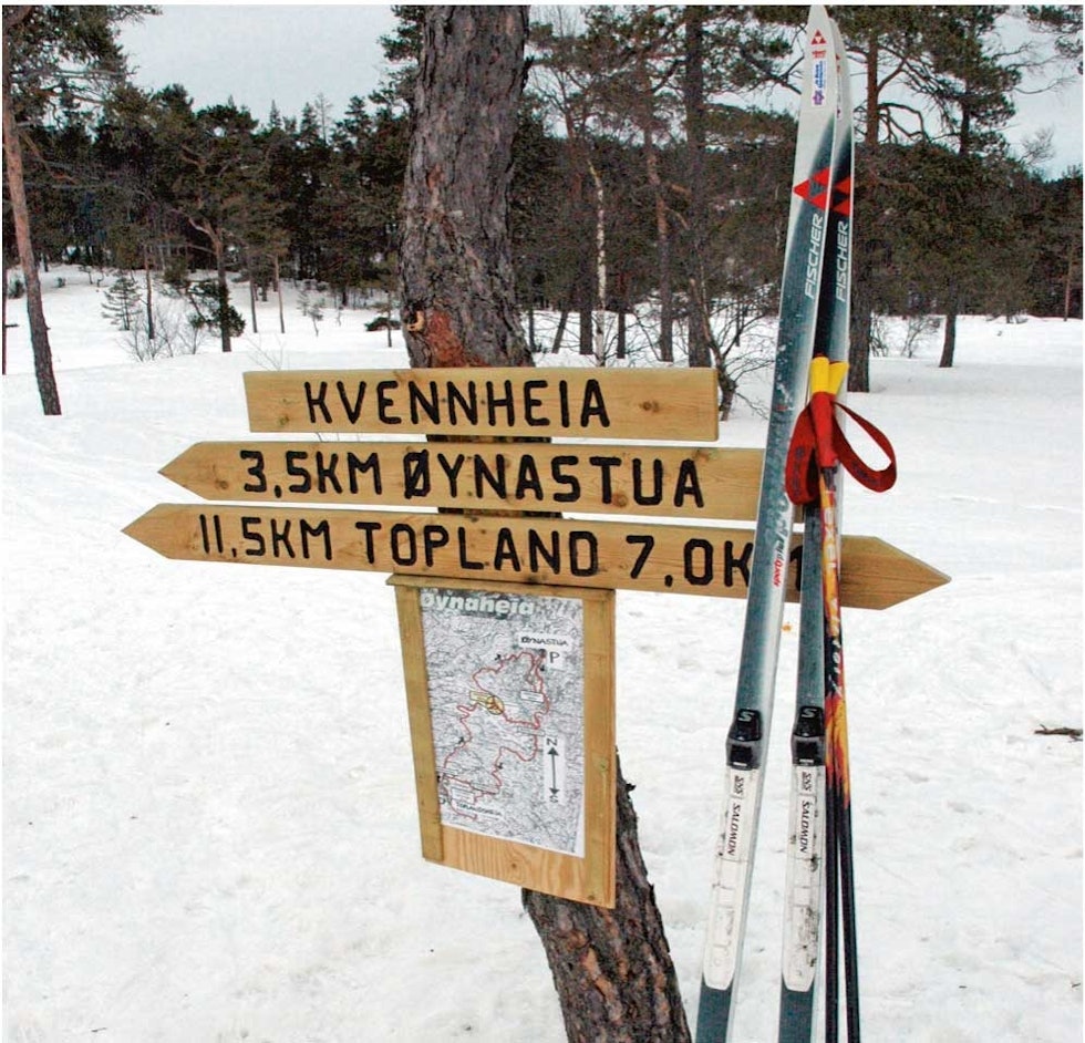 Ski-på-Toplandsheia-og-Øynaheia-Torolf-Kroglund-4