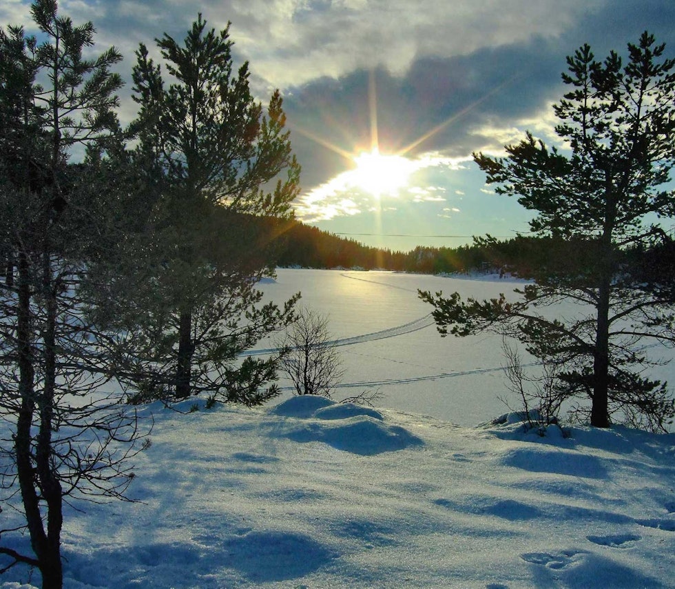 Evje-naturen innbyr til flere raster for å nyte vintersola. Foto: Oddvar Paulsen På-ski-i-Evje-Oddvar-Paulsen-3