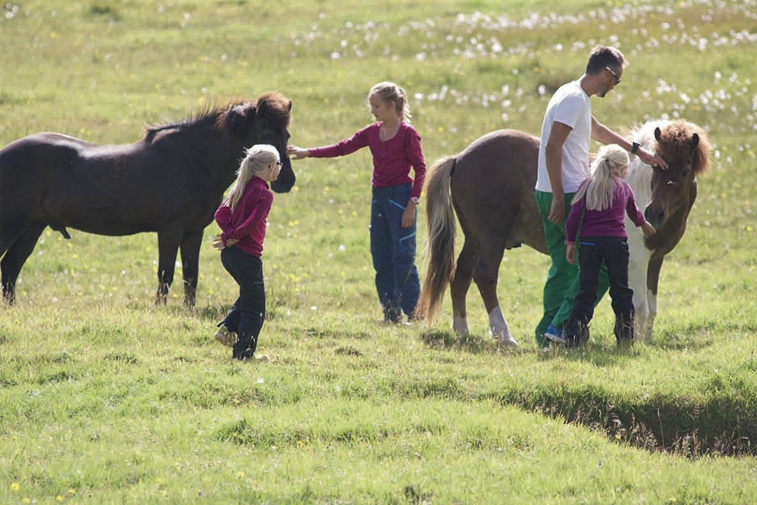 UT OG KLAPPE HESTER: Gjendine (t.v.), Eivind og Ea Eidslott hilser på en av de lokale hestene ved Saksun.