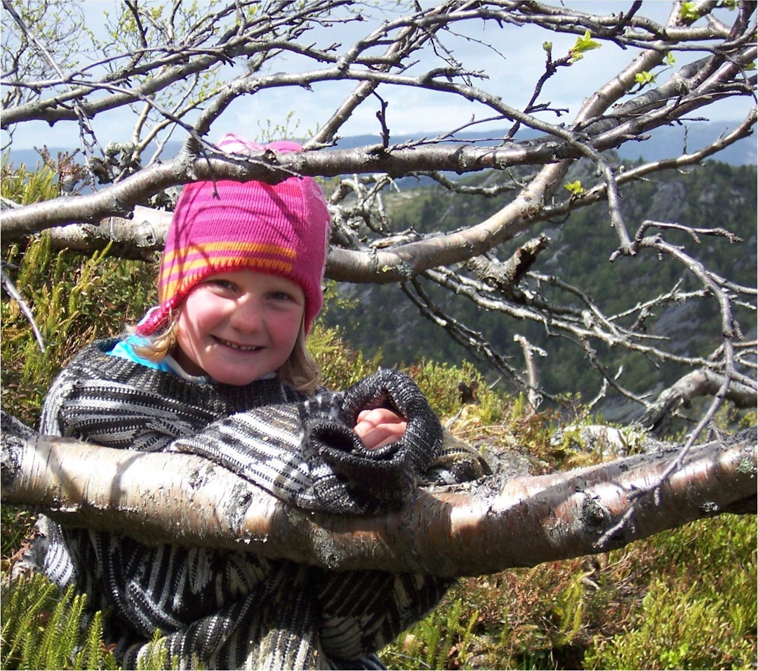 Fra toppen av Gjevdenuten. Foto: Arendal Turistkontor Gjøvdal-Arendal-Turistkontor-1
