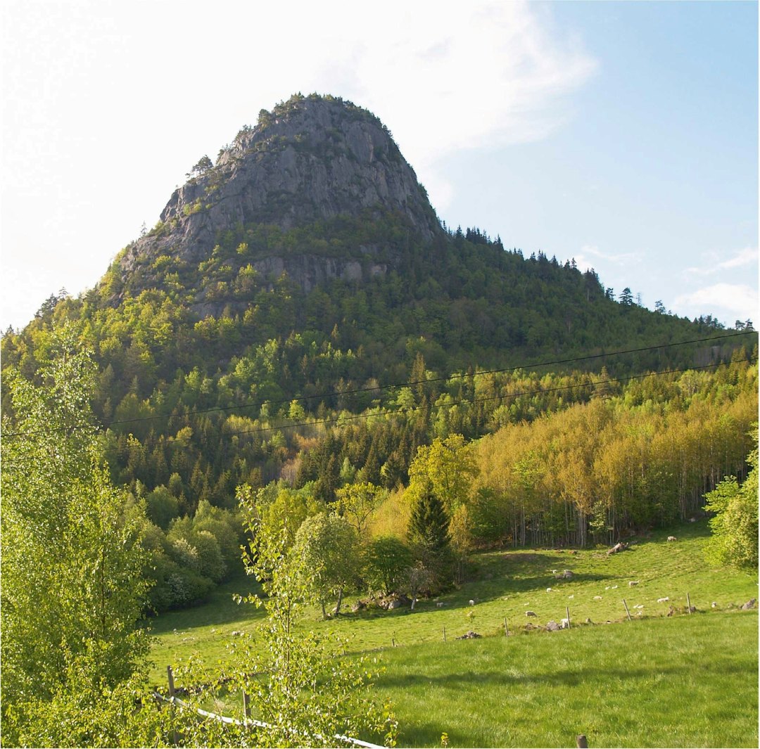 Åmlandsnapen ligger 25 km fra Åmli sentrum. Toppen ligger 735 moh. og det er merket sti til toppen. Foto: Salve Jakob Sundstøyl Åmalndsnapen